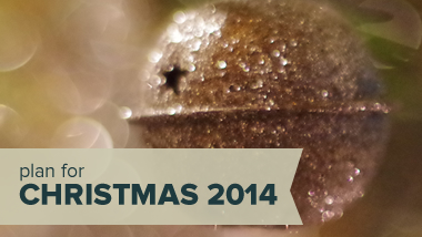 Plan for Christmas 2014